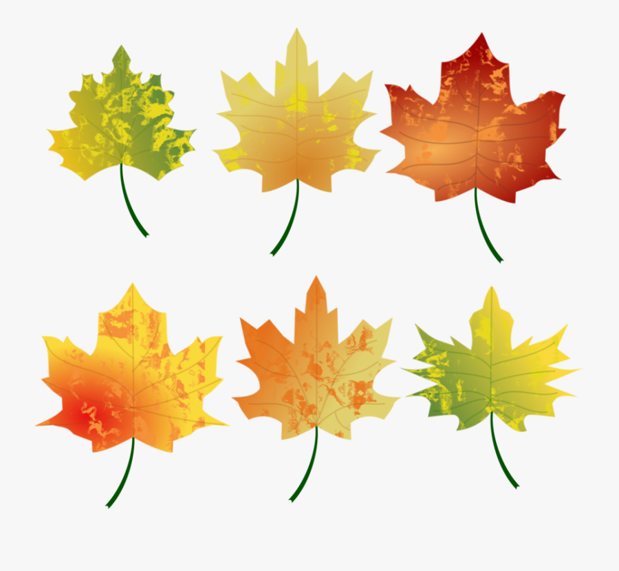 Autumn Leaves Clipart 13, Buy Clip Art - Autumn Leaves, Transparent Clipart