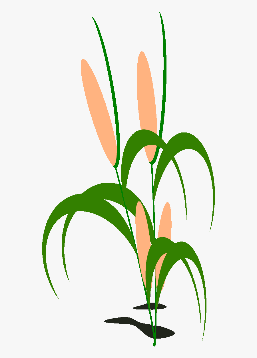 Corn Field Clipart At Getdrawings - Clip Art, Transparent Clipart