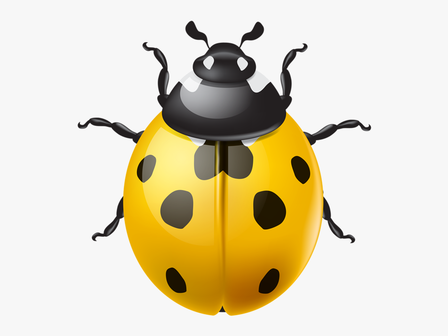 Yellow Ladybird Png Clip - Clip Art, Transparent Clipart
