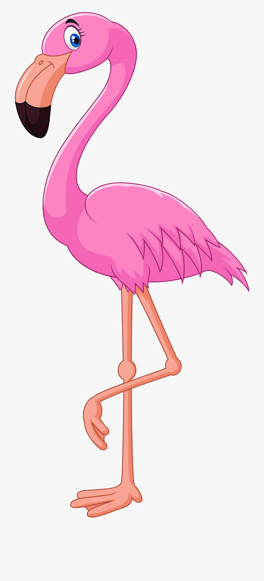 Pink Flamingo Png Clipart - Flamingo Clipart, Transparent Clipart