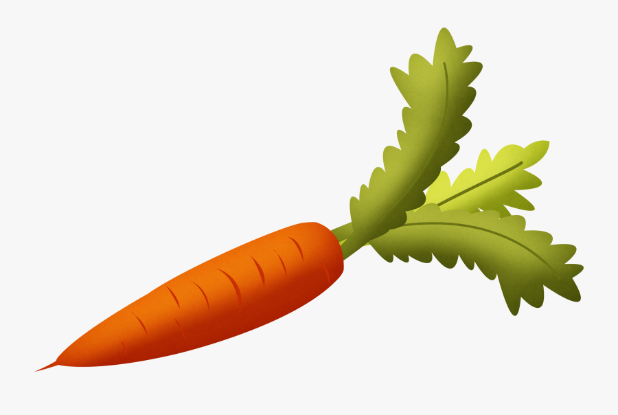 Carrot With Green Leaves Clipart Isolated Stock Photo - Carrot Clipart Transparent Background, Transparent Clipart