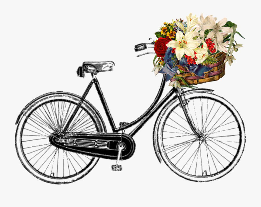 Bicycle, Flower, Bunch, Transport, Ride, Cycle - Black And White Vintage Drawings, Transparent Clipart