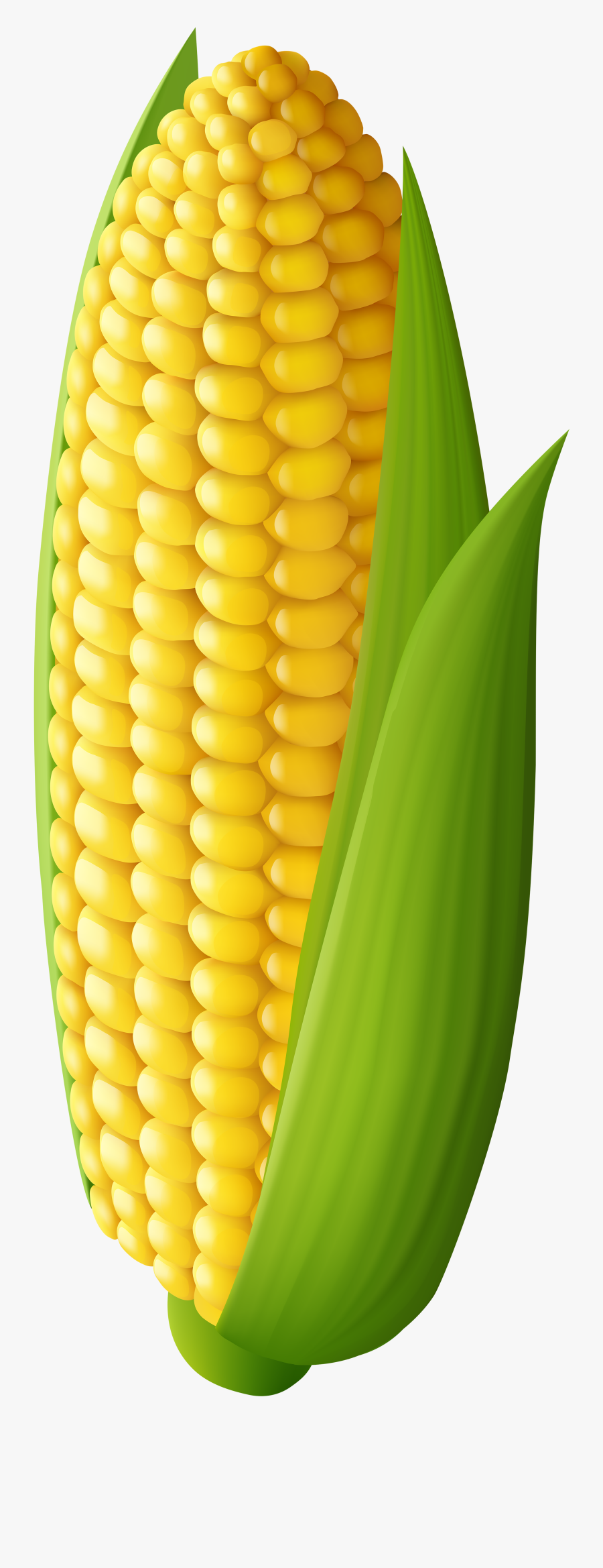 Corn Clip Art 2 Clipartbarn - Clipart Corn On The Cob, Transparent Clipart