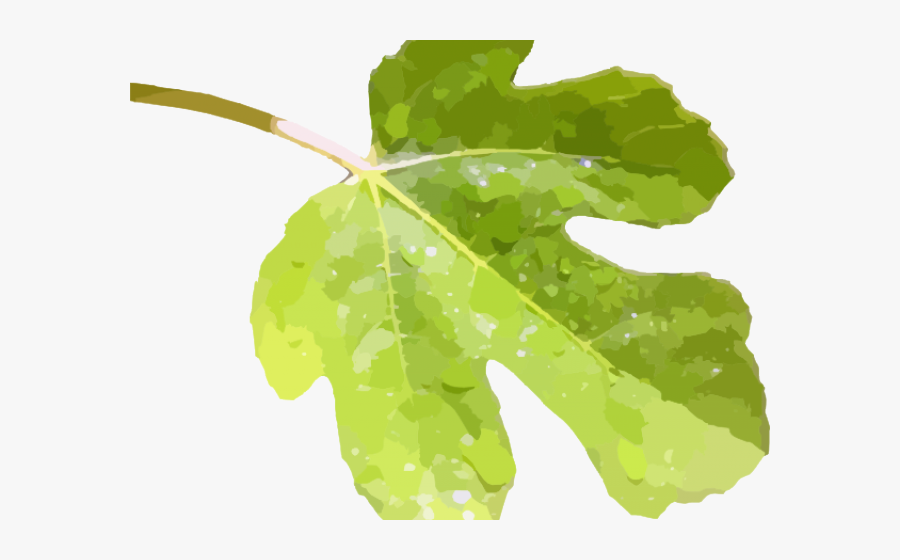 Fig Leaf No Background, Transparent Clipart