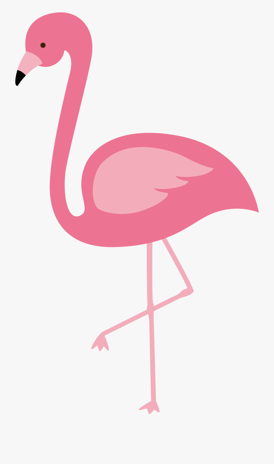 Flamingo Clipart Pink Flamingo - Transparent Background Flamingo Clipart, Transparent Clipart