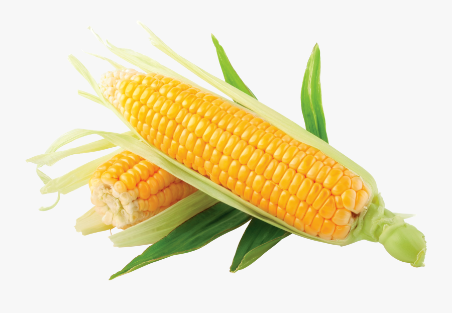 Corn Clip Art Black And White Free Clipart Images 2 - Corn Png, Transparent Clipart