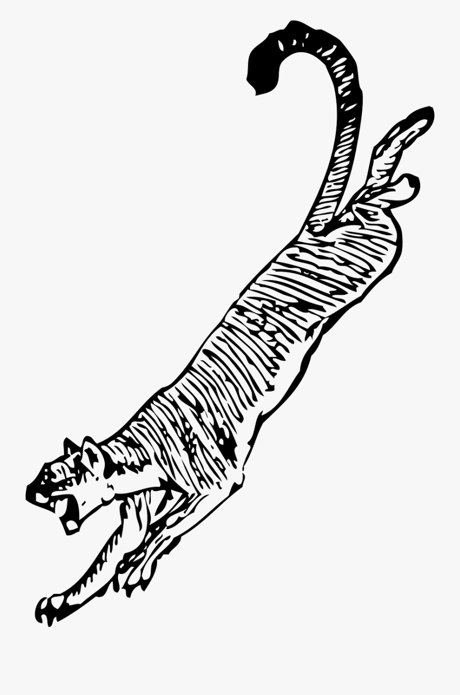 Striking - Clipart - Cougar Clip Art, Transparent Clipart