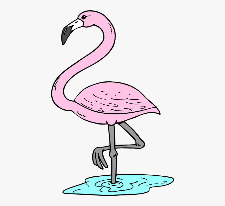 Pink Flamingo Clip Art Free Cliparts And Others Art - Tropical Flamingo Flamingo Clipart, Transparent Clipart