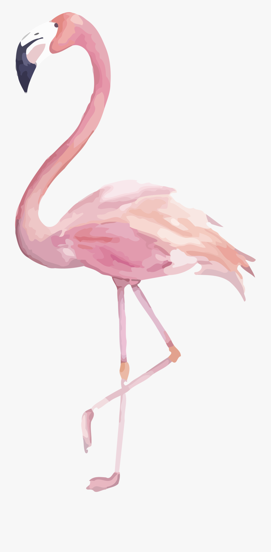 Flamingo Png Image Transparent Flamingo Clipart Watercolor - Watercolor Flamingo Clipart, Transparent Clipart