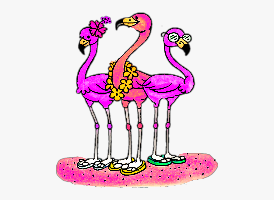 Flamingo Clipart Beach - Flamingo With Sunglasses Clipart, Transparent Clipart
