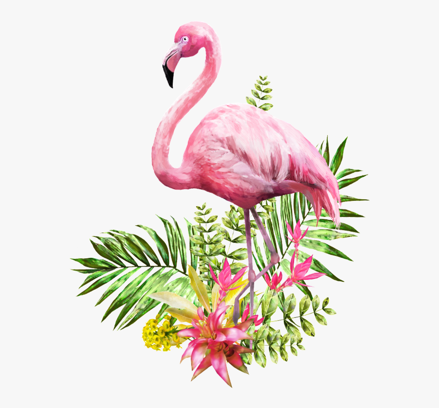 Pin By Diane Matthews On Birds - Png Transparent Flamingo Png, Transparent Clipart
