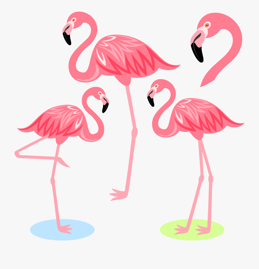 Flamingo Bird Illustration Cartoon Free Frame Clipart - Flamingo Png, Transparent Clipart