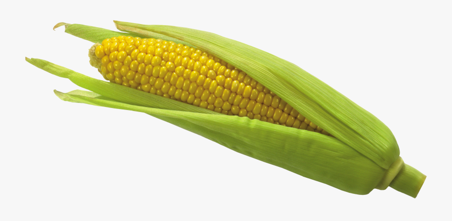 Png Free Images Toppng - Corn Transparent Background, Transparent Clipart