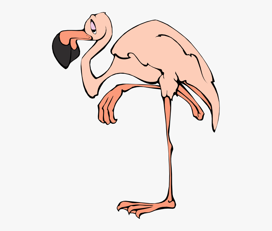 Flamingo Free To Use Clip Art - Flamingo Clip Art, Transparent Clipart