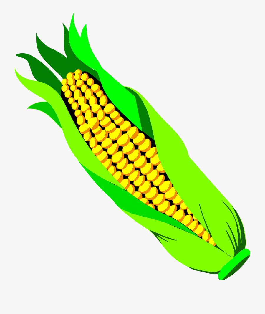 Corn - Ear Of Corn Transparent Background, Transparent Clipart