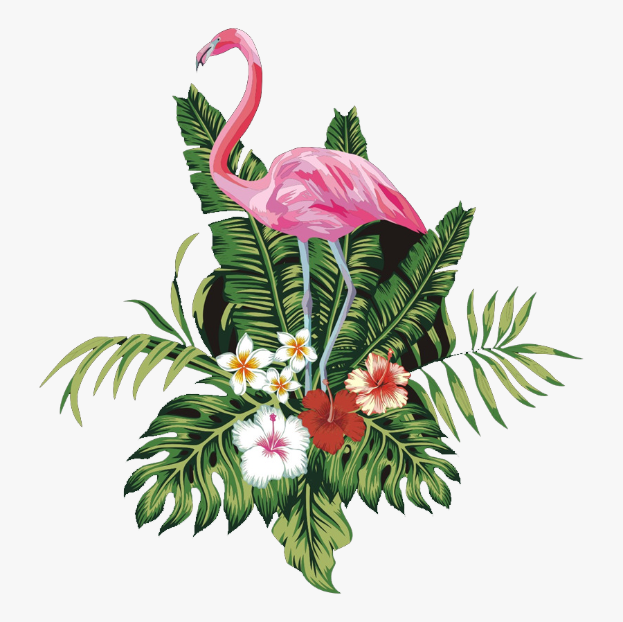 Transparent Flamingo Clipart - Png Transparent Flamingo Png, Transparent Clipart
