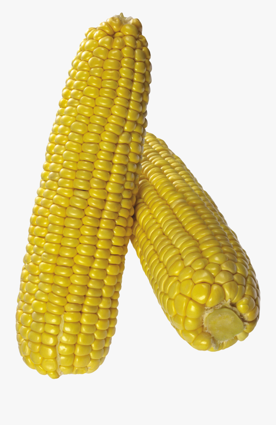 Corn With Transparent Background, Transparent Clipart