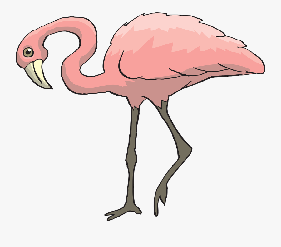 Animals That Has Two Legs Clipart, Transparent Clipart