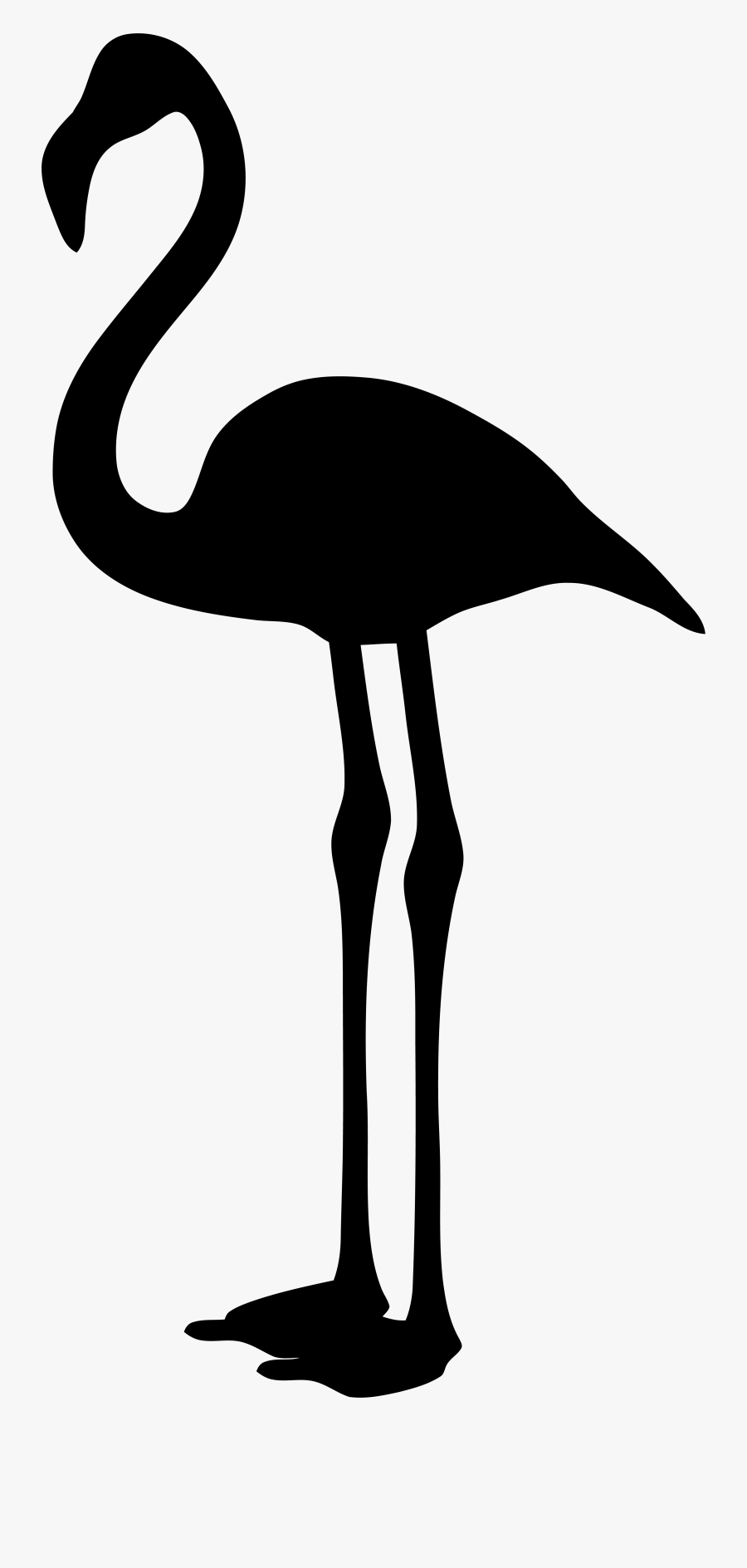 Flamingo Clipart Vector - Flamingo Clipart Transparent Background, Transparent Clipart