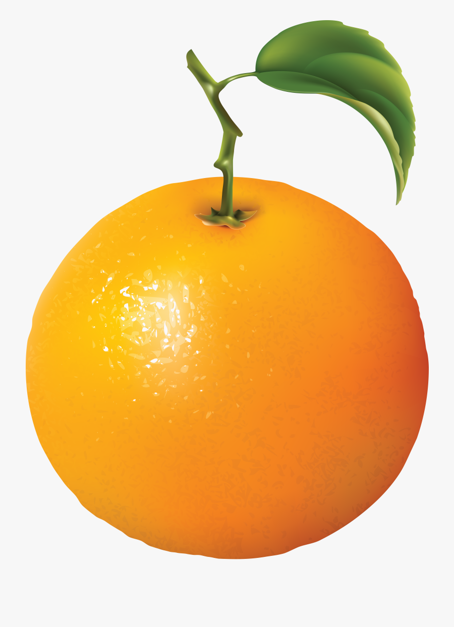 Orange Image Free Download Clipart 4 Png - Transparent Background Orange Png, Transparent Clipart