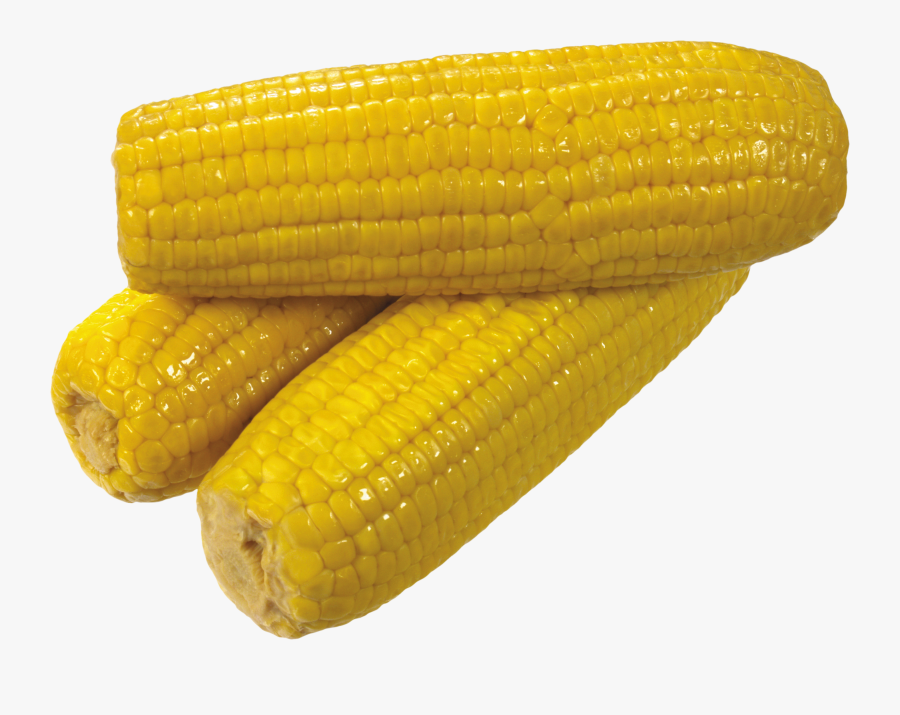 Clip Art Picture Of Corn - Yellow Corn, Transparent Clipart