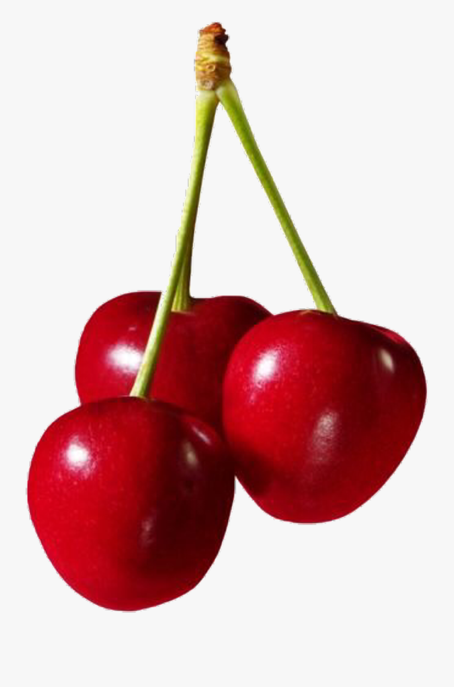 Cherries Fruit Png Clipart - Png Cherries, Transparent Clipart