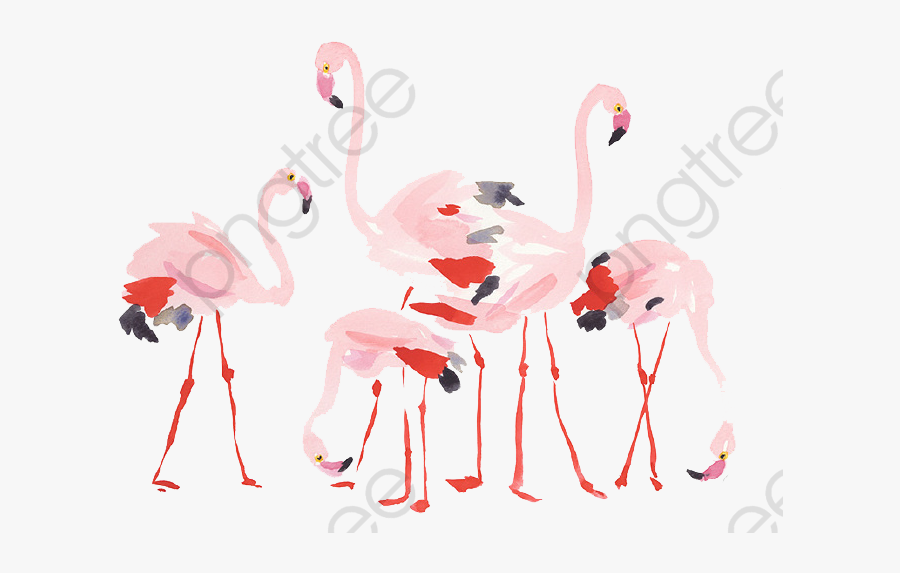 Flamingo Clipart Gold - Phoenicopterus, Transparent Clipart