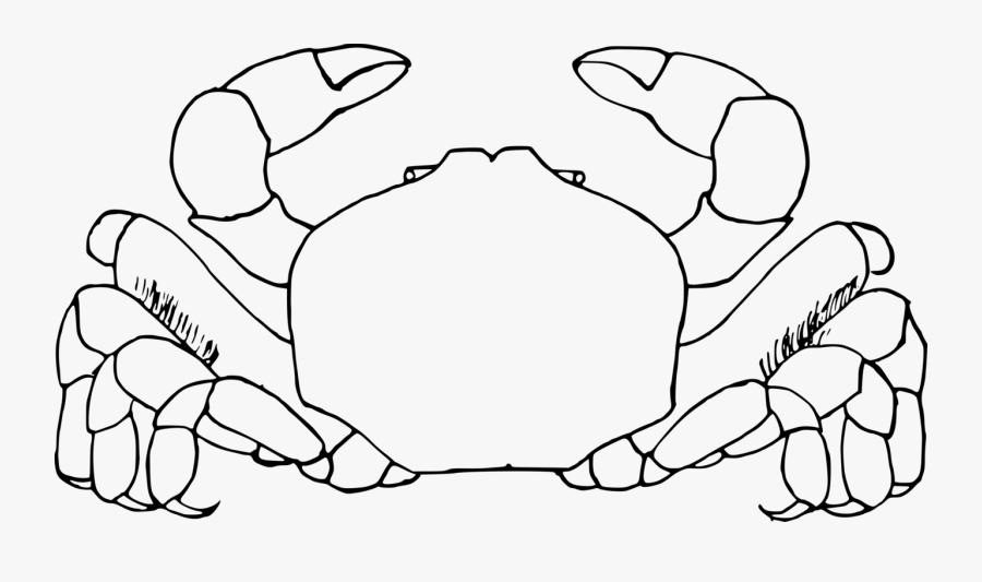 White Clipart Crab Ocean Animal Pictures Www Picturesboss - Outline Crab Black And White Clipart, Transparent Clipart