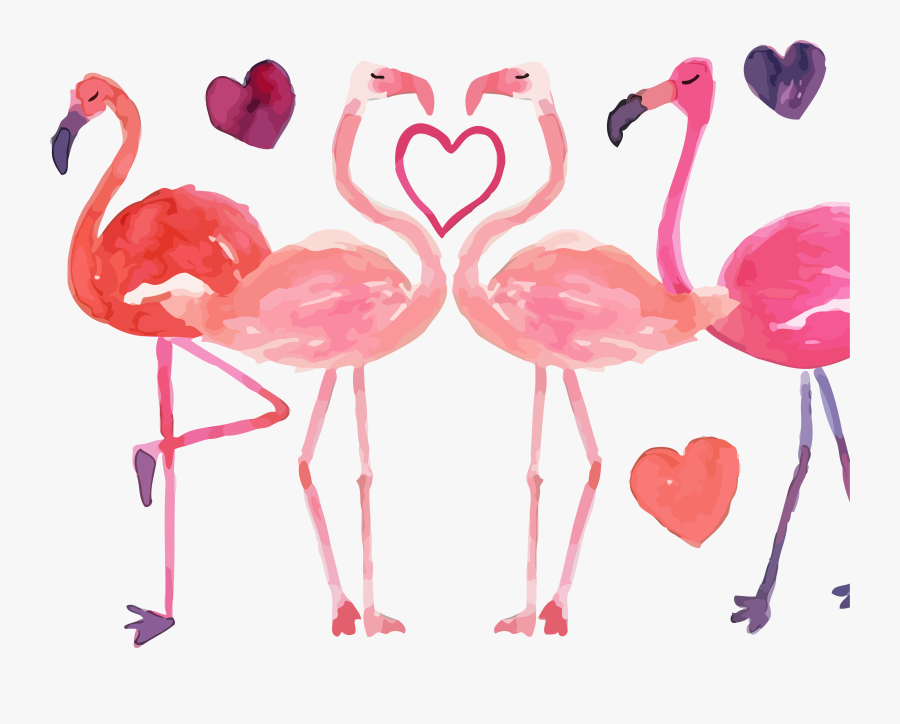 Flamingo Clipart Png - Greater Flamingo, Transparent Clipart