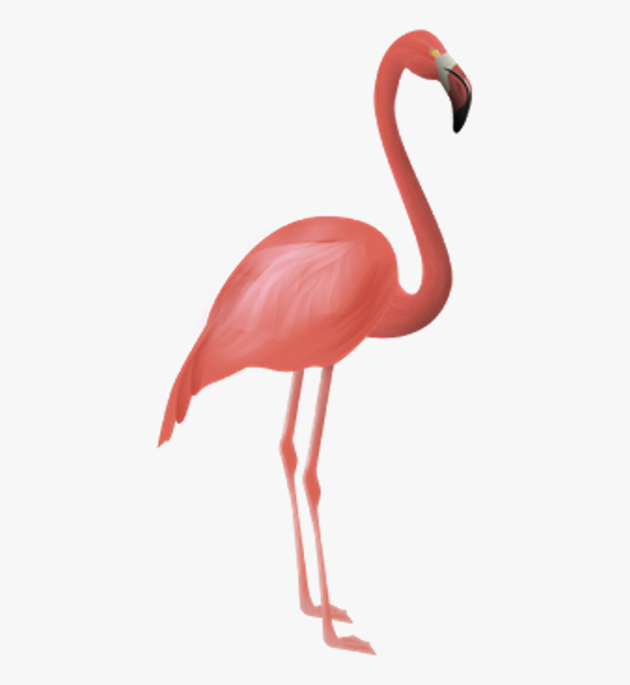 Flamingo Clipart Elegant - Garza Flamenco, Transparent Clipart