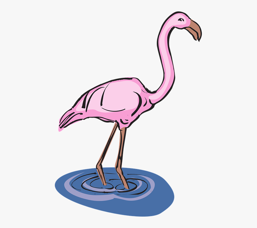 Flamingo In Water Clipart, Transparent Clipart