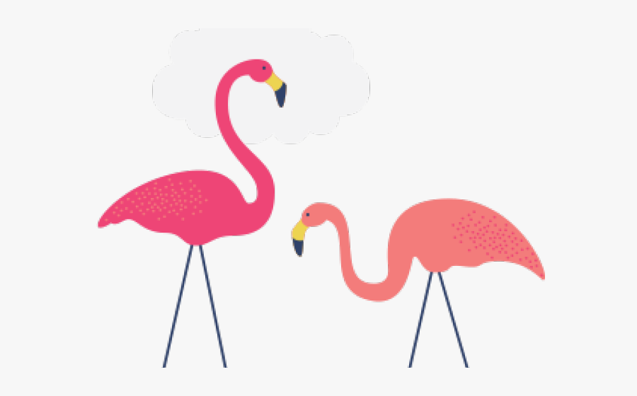 Transparent Flamingo Clipart Png - Greater Flamingo, Transparent Clipart