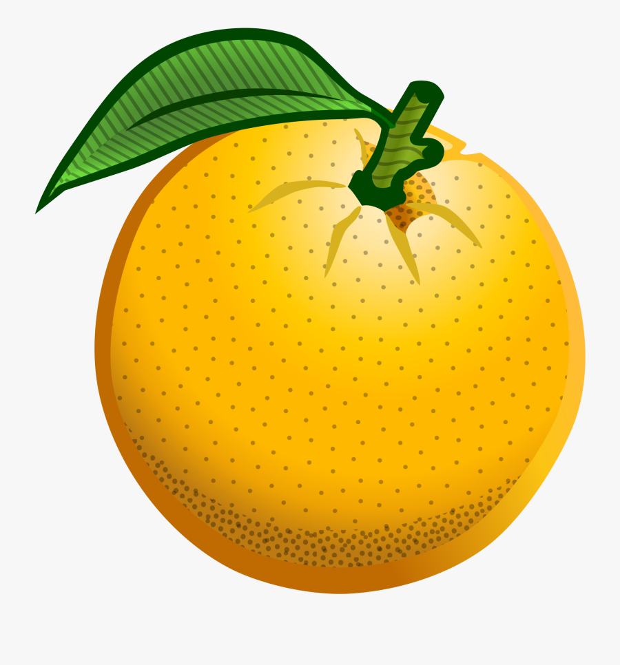 Transparent Orange Fruit Clipart - Orange Colored Clip Art, Transparent Clipart