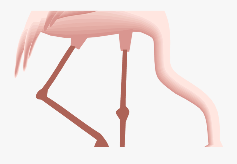 Free Flamingo Clipart - Gifs Animados De Flamencos, Transparent Clipart