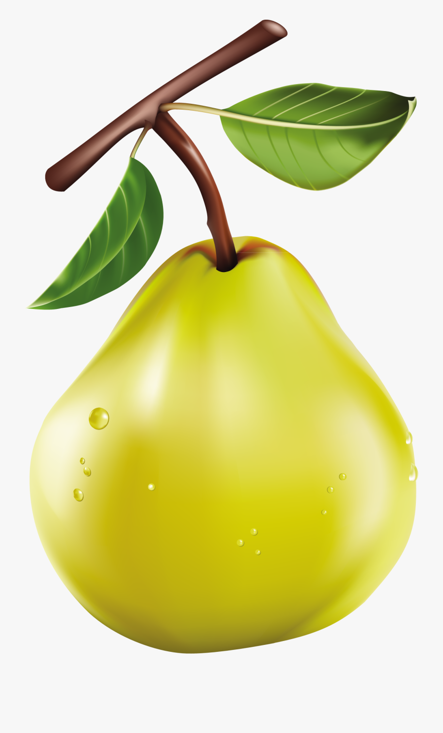 Vegetables, Clip Art, Dibujo, Fruit, Veggies, Illustrations - 2 Pears Clipart, Transparent Clipart