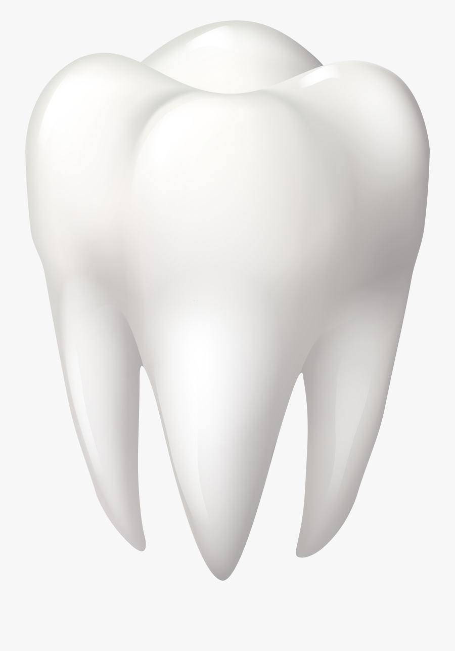 Tooth Molar Png Clip Art - Molar Clipart, Transparent Clipart