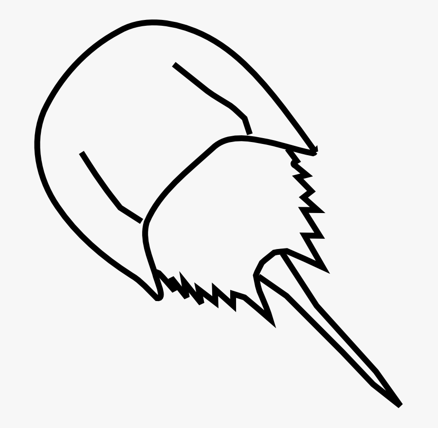 Draw A Horseshoe Crab, Transparent Clipart