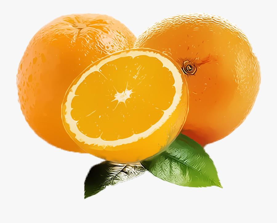 Orange Fruit Clipart Png Free Download Searchpng, Transparent Clipart