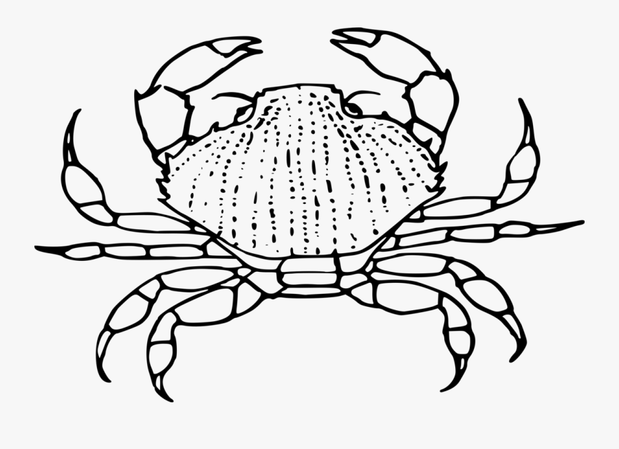 Line Art,plant,decapoda - Black And White Crab Clipart, Transparent Clipart