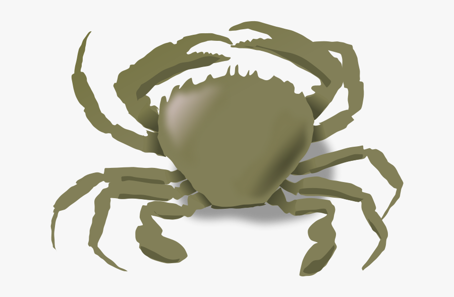 The Crab - Animal Live In Land And Water, Transparent Clipart