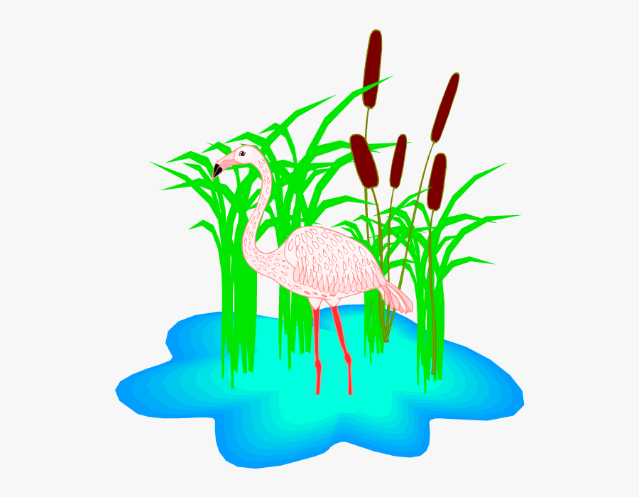 Flamingo In The Pond Clip Art, Transparent Clipart