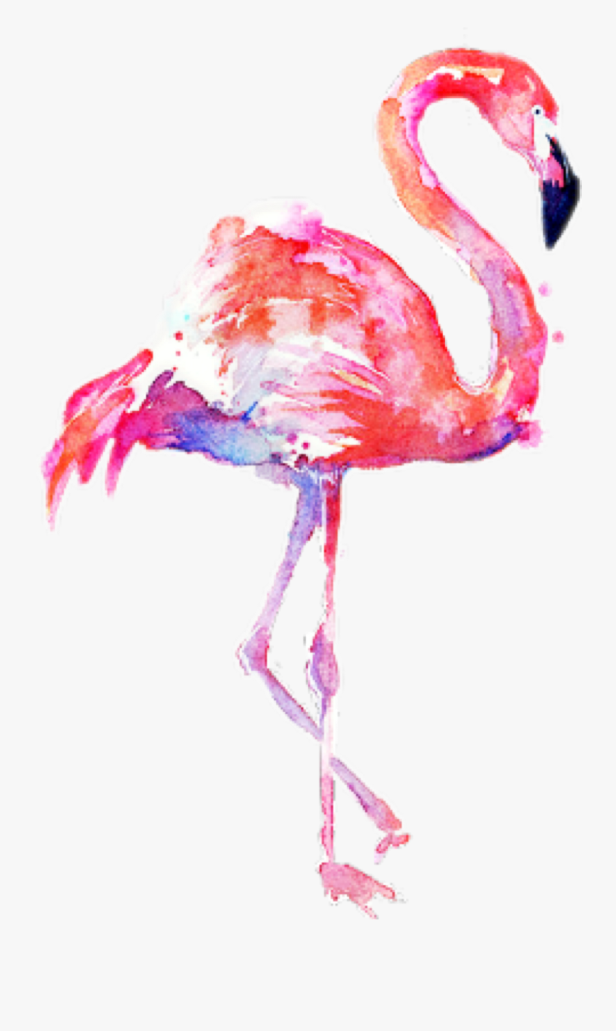 Flamingo Transparent Water Color - Transparent Background Watercolor Flamingo Png, Transparent Clipart