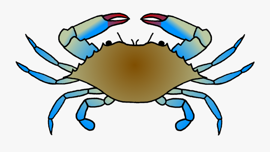 Crab Clipart Colored - Blue Crab Drawing Easy, Transparent Clipart