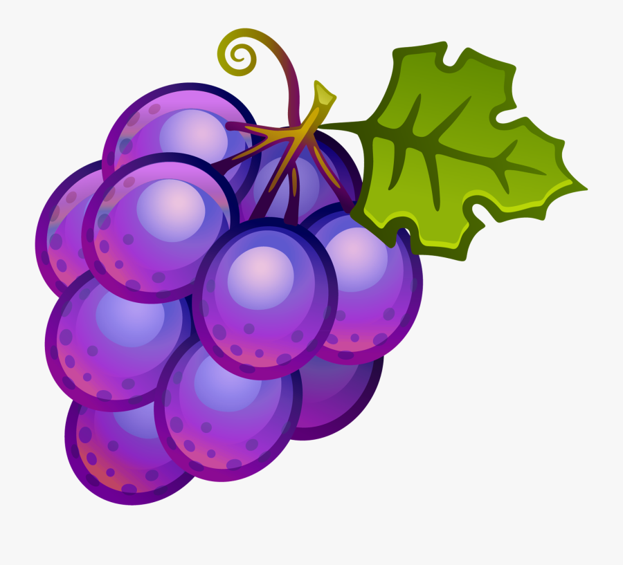 Collection Of Grapes Fruit Clipart High Quality, Free - Grapes Clipart, Transparent Clipart