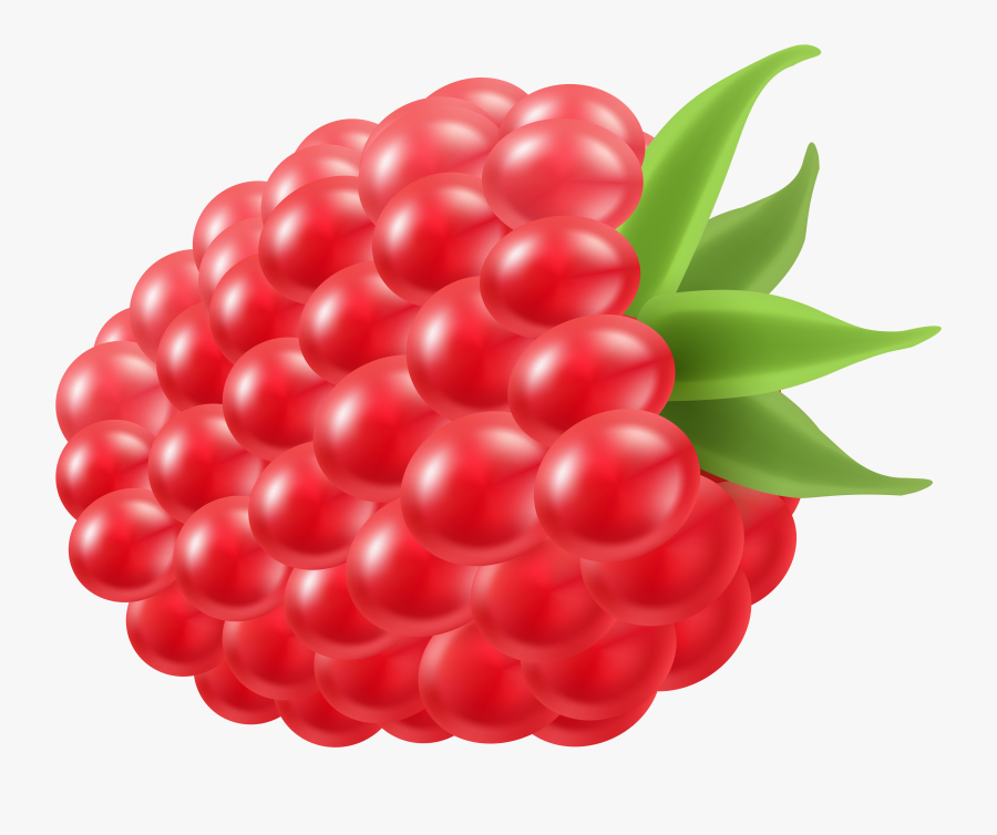 Fruit Clipart Raspberry - Transparent Background Clipart Raspberry, Transparent Clipart