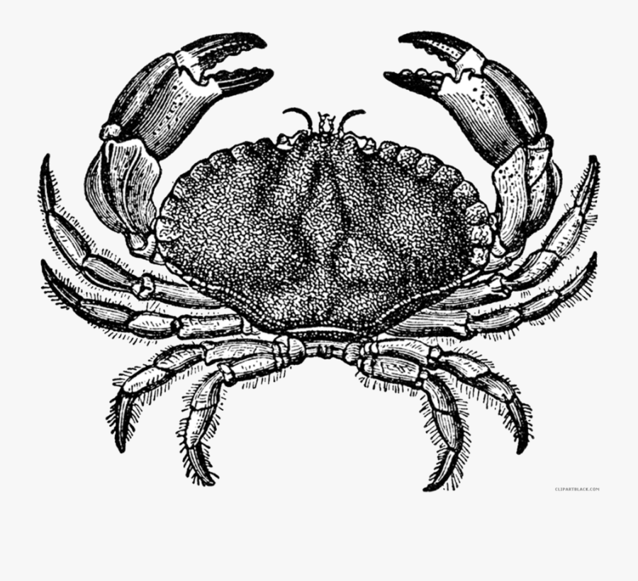 Transparent Blue Crab Clipart - Vintage Crab, Transparent Clipart