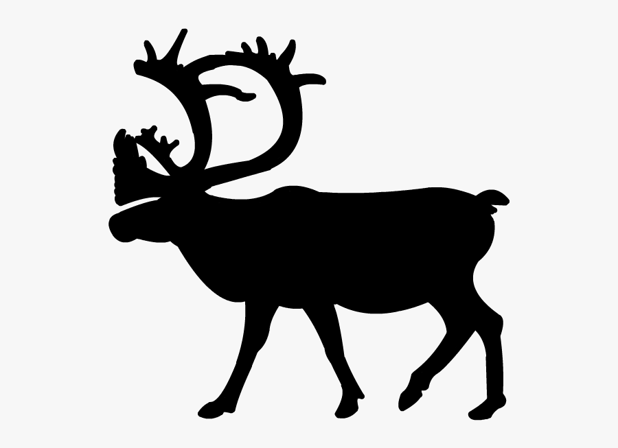 Rudolph The Red Nosed Reindeer Clipart - Size Comparison Deer Elk Caribou, Transparent Clipart