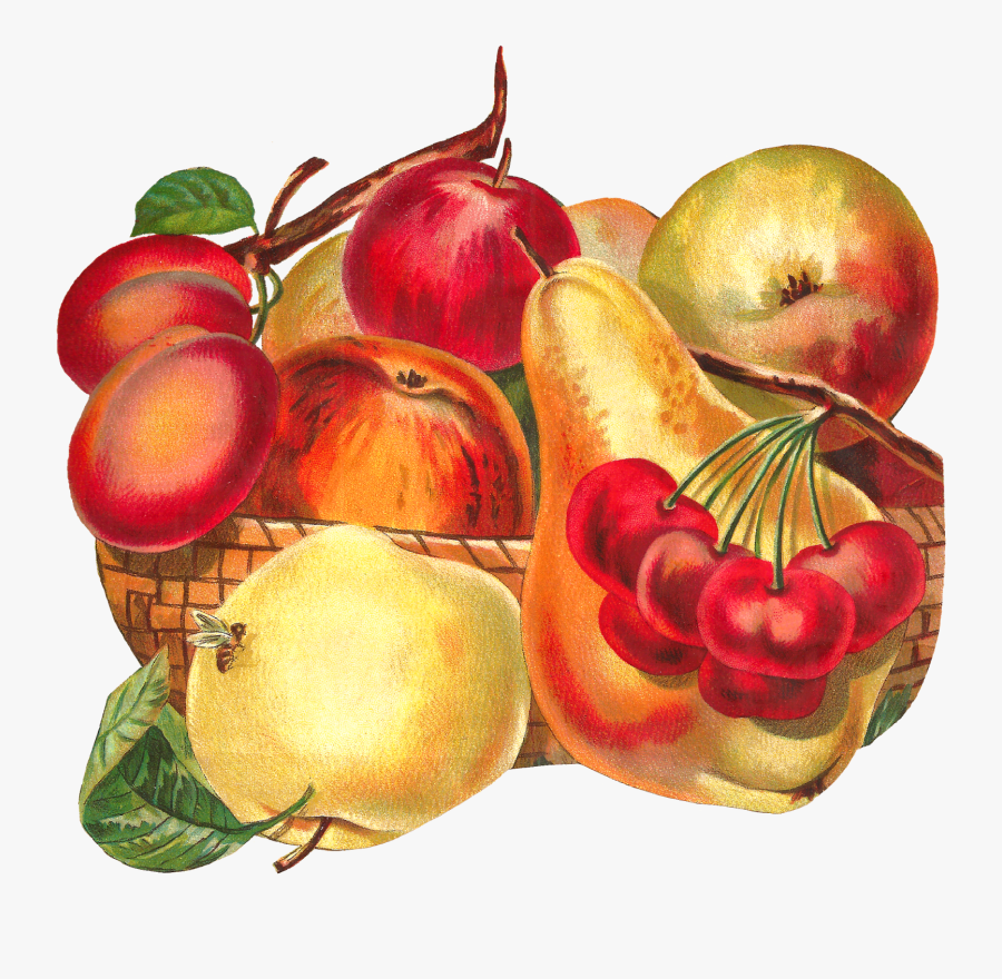 Fruit Basket Image Apple Pear Plum Clipart Artwork - Fruit Bowl Fancy Clipart, Transparent Clipart
