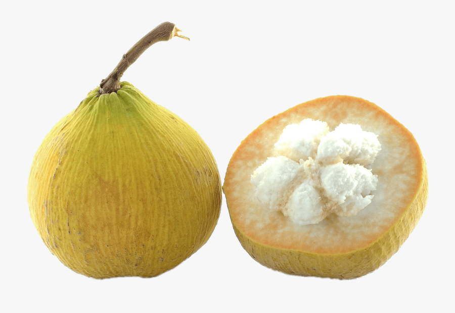 Transparent Star Fruit Png - Santol Fruit Clipart, Transparent Clipart