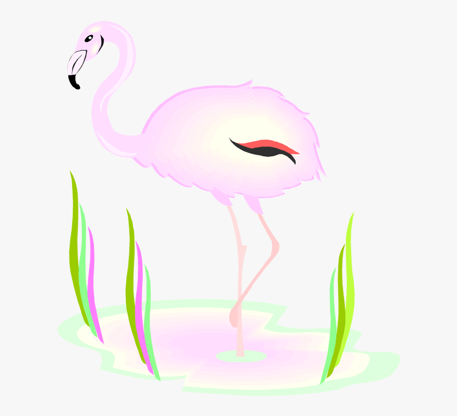 Transparent Pink Flamingos Clipart - Greater Flamingo, Transparent Clipart